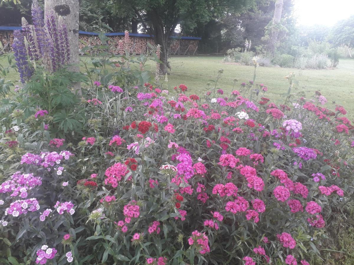 B&B Buddleja Saint-Hilaire-les-Places Kültér fotó
